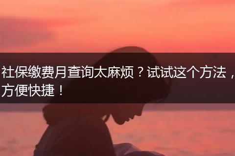 社保缴费月查询太麻烦？试试这个方法，方便快捷！