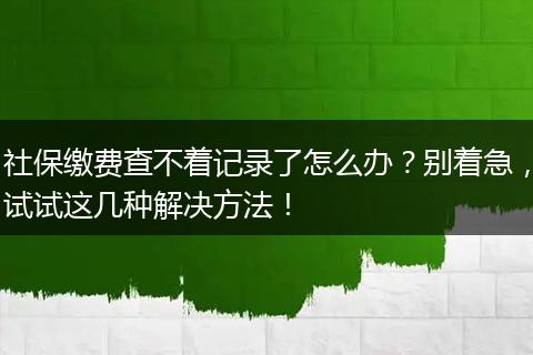社保缴费查不着记录了怎么办?别着急,试试这几种解决方法!