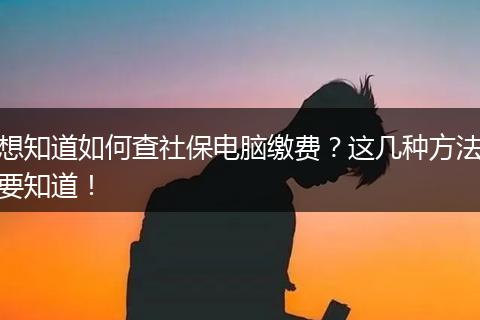 想知道如何查社保电脑缴费？这几种方法要知道！