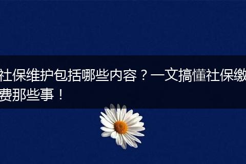 社保维护包括哪些内容？一文搞懂社保缴费那些事！