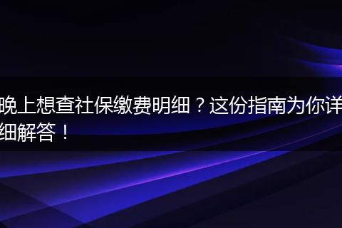 晚上想查社保缴费明细?这份指南为你详细解答!