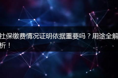 社保缴费情况证明依据重要吗？用途全解析！