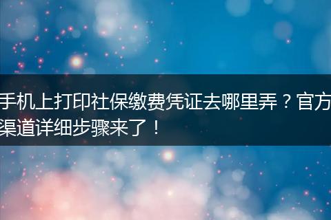 手机上打印社保缴费凭证去哪里弄？官方渠道详细步骤来了！