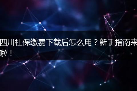 四川社保缴费下载后怎么用？新手指南来啦！