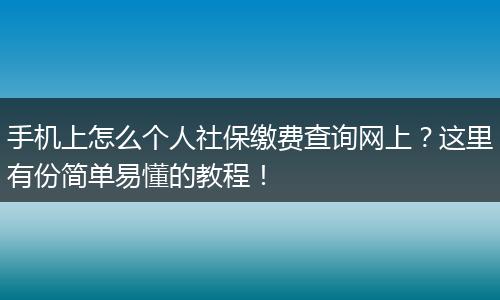 手机上怎么个人社保缴费查询网上？这里有份简单易懂的教程！