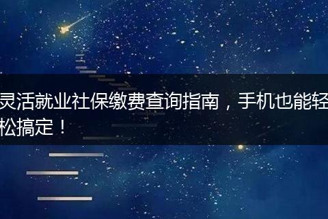 灵活就业社保缴费查询指南,手机也能轻松搞定!
