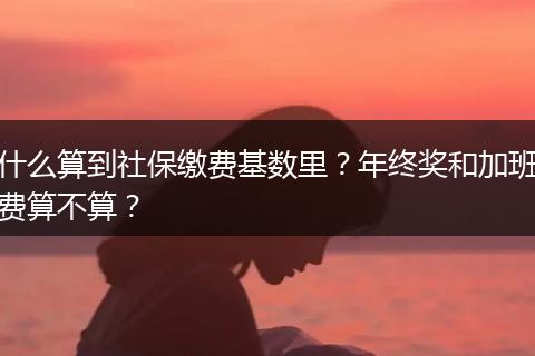 什么算到社保缴费基数里？年终奖和加班费算不算？