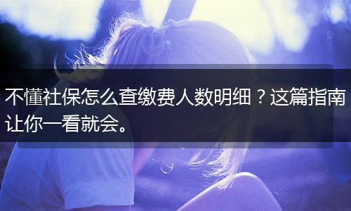 不懂社保怎么查缴费人数明细？这篇指南让你一看就会。