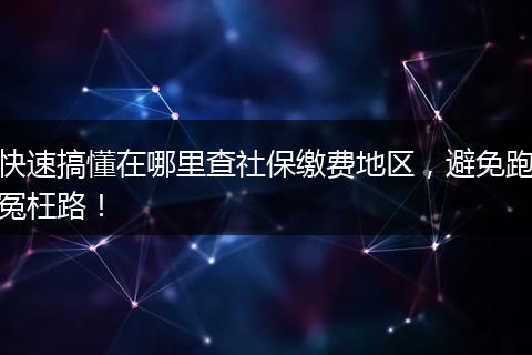 快速搞懂在哪里查社保缴费地区，避免跑冤枉路！
