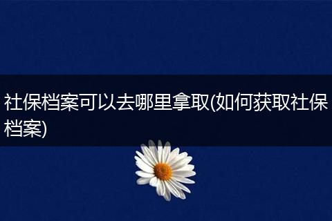 社保档案可以去哪里拿取(如何获取社保档案)