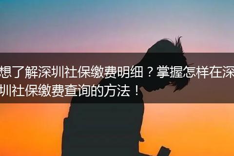 想了解深圳社保缴费明细？掌握怎样在深圳社保缴费查询的方法！