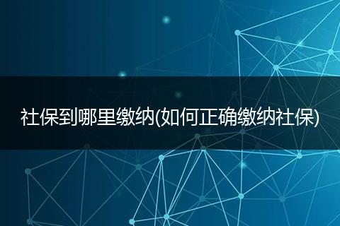 社保到哪里缴纳(如何正确缴纳社保)