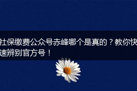 社保缴费公众号赤峰哪个是真的？教你快速辨别官方号！
