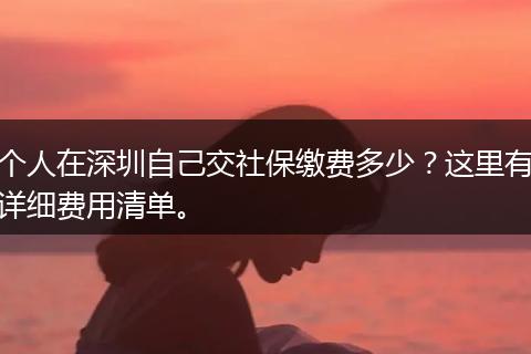 个人在深圳自己交社保缴费多少？这里有详细费用清单。