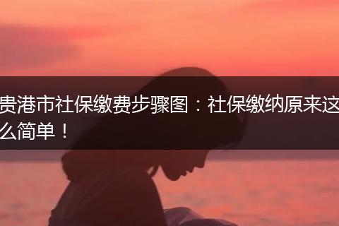 贵港市社保缴费步骤图：社保缴纳原来这么简单！