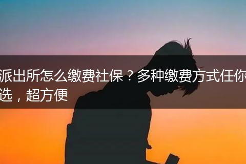 派出所怎么缴费社保？多种缴费方式任你选，超方便