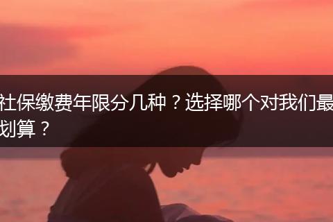社保缴费年限分几种？选择哪个对我们最划算？