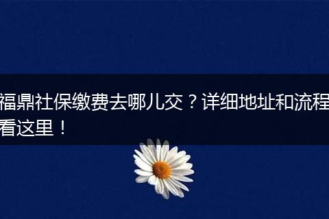 福鼎社保缴费去哪儿交？详细地址和流程看这里！