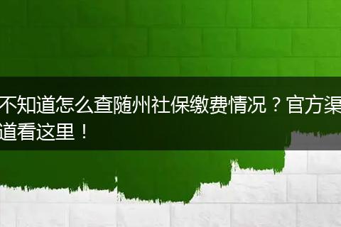 不知道怎么查随州社保缴费情况？官方渠道看这里！