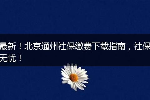 最新！北京通州社保缴费下载指南，社保无忧！