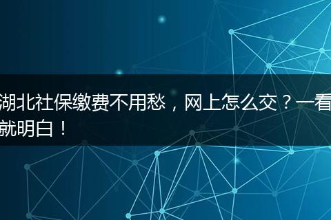 湖北社保缴费不用愁，网上怎么交？一看就明白！