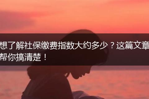 想了解社保缴费指数大约多少？这篇文章帮你搞清楚！