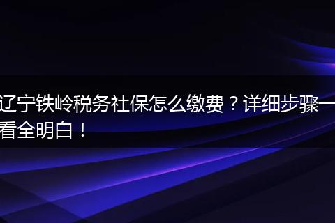 辽宁铁岭税务社保怎么缴费？详细步骤一看全明白！