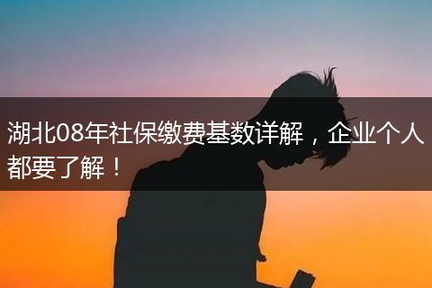 湖北08年社保缴费基数详解，企业个人都要了解！