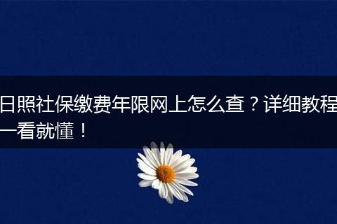 日照社保缴费年限网上怎么查？详细教程一看就懂！