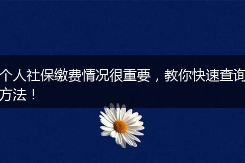 个人社保缴费情况很重要，教你快速查询方法！