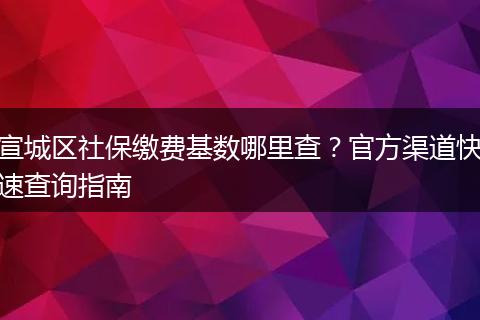 宣城区社保缴费基数哪里查？官方渠道快速查询指南