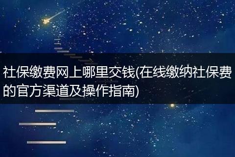 社保缴费网上哪里交钱(在线缴纳社保费的官方渠道及操作指南)