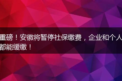 重磅！安徽将暂停社保缴费，企业和个人都能缓缴！