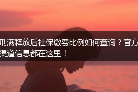 刑满释放后社保缴费比例如何查询？官方渠道信息都在这里！