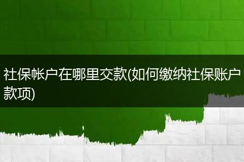 社保帐户在哪里交款(如何缴纳社保账户款项)