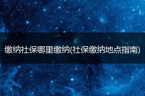 缴纳社保哪里缴纳(社保缴纳地点指南)