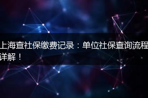 上海查社保缴费记录：单位社保查询流程详解！