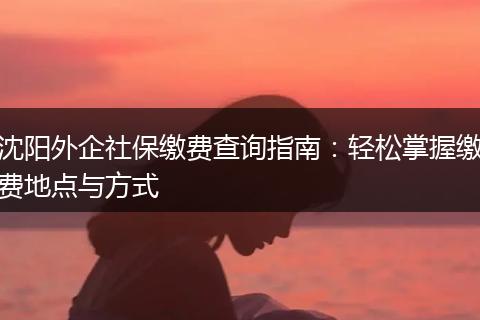 沈阳外企社保缴费查询指南：轻松掌握缴费地点与方式