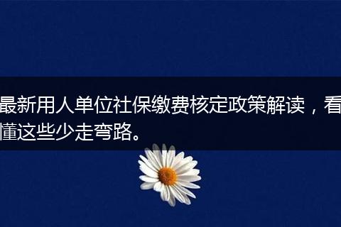 最新用人单位社保缴费核定政策解读,看懂这些少走弯路。