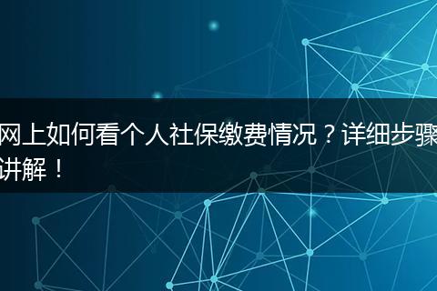 网上如何看个人社保缴费情况？详细步骤讲解！