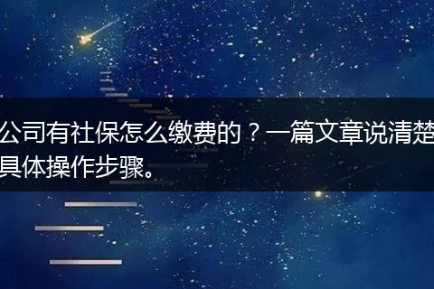 公司有社保怎么缴费的？一篇文章说清楚具体操作步骤。
