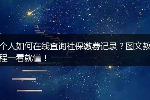 个人如何在线查询社保缴费记录？图文教程一看就懂！