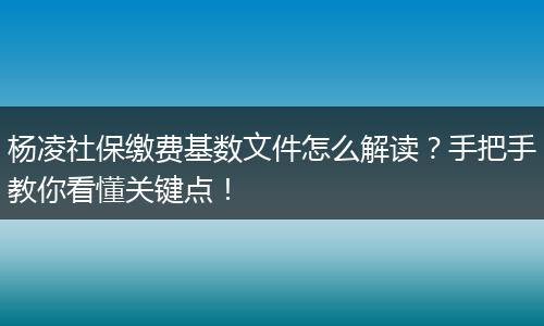 杨凌社保缴费基数文件怎么解读？手把手教你看懂关键点！
