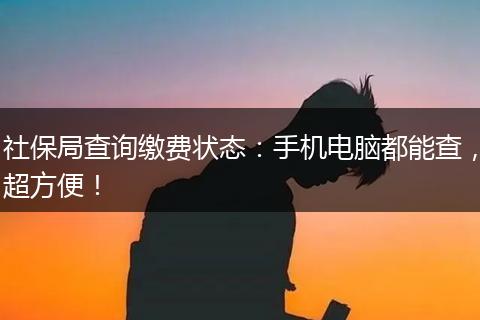 社保局查询缴费状态：手机电脑都能查，超方便！