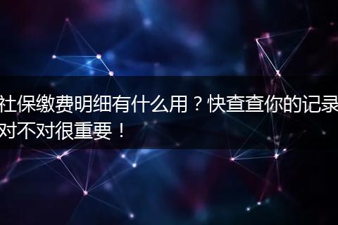 社保缴费明细有什么用？快查查你的记录对不对很重要！