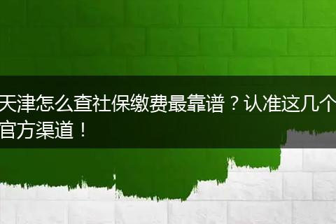 天津怎么查社保缴费最靠谱?认准这几个官方渠道!