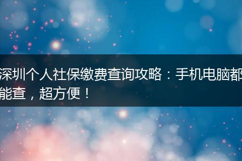 深圳个人社保缴费查询攻略：手机电脑都能查，超方便！