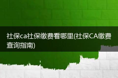 社保ca社保缴费看哪里(社保CA缴费查询指南)