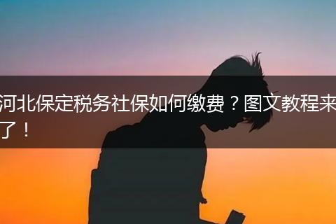 河北保定税务社保如何缴费?图文教程来了!