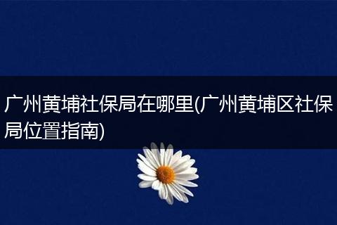 广州黄埔社保局在哪里(广州黄埔区社保局位置指南)